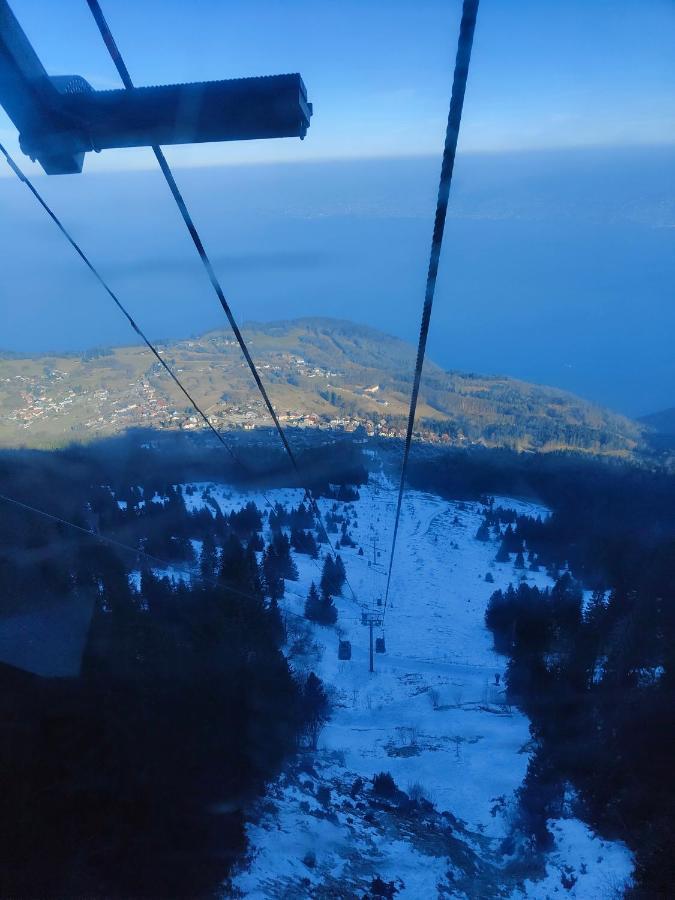 Chalet Recent Coeur Station Thollon-les-Memises Екстериор снимка
